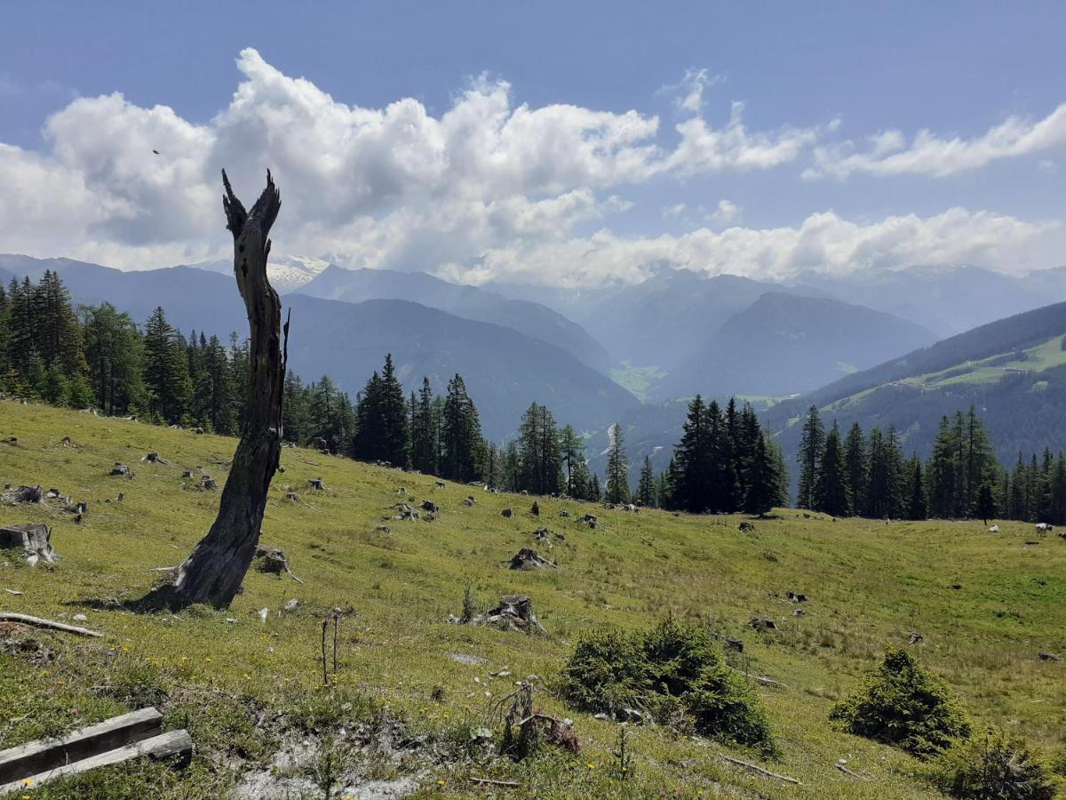 Serlesblick Ellbögen
